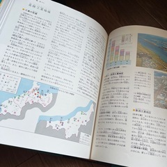 古い図鑑　10冊の画像