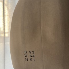文化服装学院　トルソーの画像