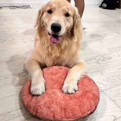 間違えて消してしまった為再度募集します