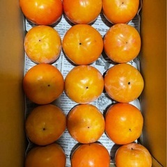 和歌山県　九度山産　富有柿　60個　12.1kg 大容量　お得　詰め合わせ　セットの画像