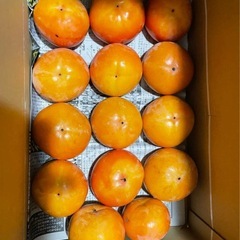 和歌山県　九度山産　富有柿　60個　12.1kg 大容量　お得　詰め合わせ　セットの画像