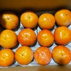 和歌山県　九度山産　富有柿　60個　12.1kg 大容量　お得　詰め合わせ　セットの画像