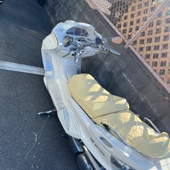 マジェスティCの画像