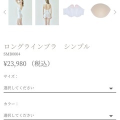 ブライダルインナー　theD クラウディア　　ロングラインブラ　美フォルム　の画像