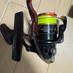 ラリッサ2500の画像