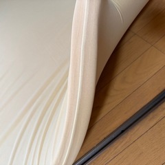 トゥルースリーパー低反発マットレス　無料で差し上げますの画像