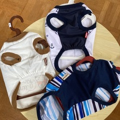 犬のお洋服の画像