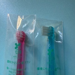 歯科医院用歯ブラシの画像