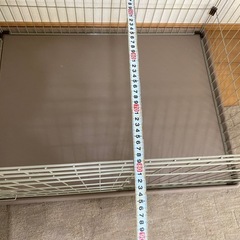 犬　ゲージの画像