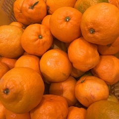 22.有田みかん5kg〜の画像