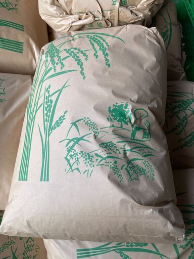 令和6年度産【きぬむすめ】30kg/袋