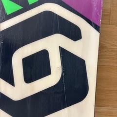 サロモン151の画像