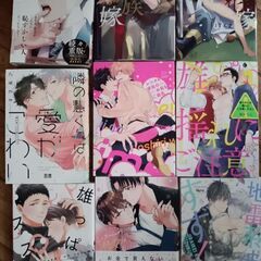 BL本  ２１冊の画像