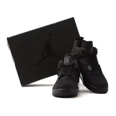 Nike Air Jordan 4 Retro OG "Black Cat" (2025) 31cm(US13)の画像