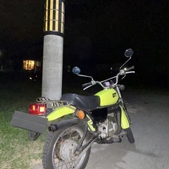 ［代理］YAMAHA GT50の画像