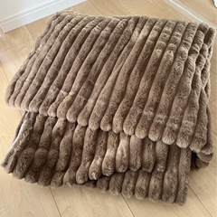 イオン　毛布deカバー　ダブルの画像