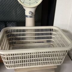 ベビースケールの画像