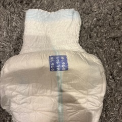 大人用　紙おむつの画像