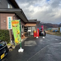 サンフジりんご 訳あり品 約5kg の画像