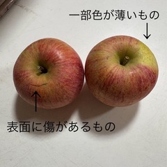 サンフジりんご 訳あり品 約5kg の画像