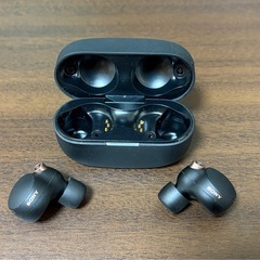 SONY WF-1000XM4の画像