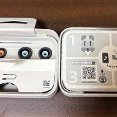 SONY WF-1000XM4の画像