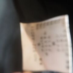 レディース、１３号、未使用品、タグつき、ジャケットの画像