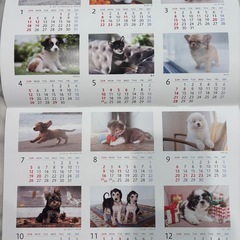 2026年　ソニー生命　カレンダーの画像