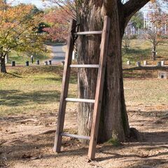 ウッド ラダー   ヴィンテージ 【PayPay決済・配送可🌈 他家具雑貨 掲載中の画像