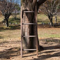 ウッド ラダー   ヴィンテージ 【PayPay決済・配送可🌈 他家具雑貨 掲載中の画像