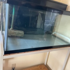 90㎝水槽セットの画像
