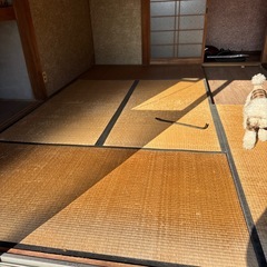 畳の画像