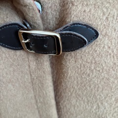 組曲コートの画像