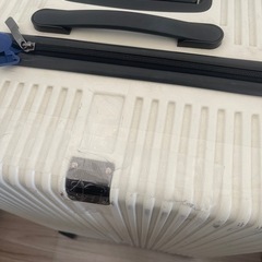 キャリーケース　大型　海外の画像