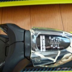 ロシニュールショートスキーの画像