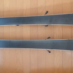 ロシニュールショートスキーの画像