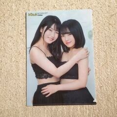 AKB 向井地、横山クリアファイルの画像