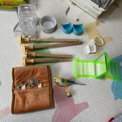 鳥かご　　小鳥飼育用品の画像