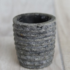 多肉ミニポットセットの画像