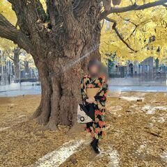 着物でおでかけ