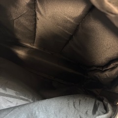 恐竜　リュック　幼児用の画像