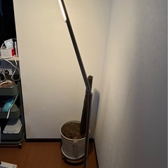 ダルトン　間接照明
の画像