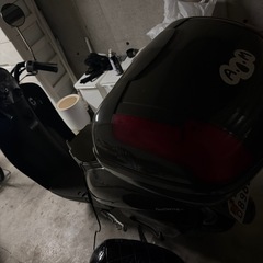 不動AF55Hondaスクーピーの画像