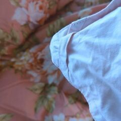 タブル？サイズ　羽毛布団の画像