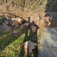 　焚き火　薪　暖炉などに　の画像