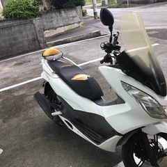 PCX125の画像
