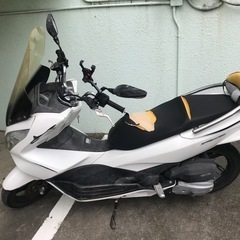 PCX125の画像