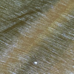 DOD タケノコテント2の画像