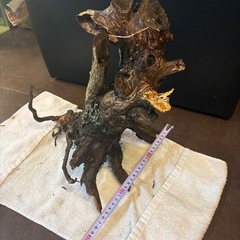 🌟オシャレ🌟　桂川流木　の画像