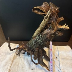 🌟オシャレ🌟　桂川流木　の画像